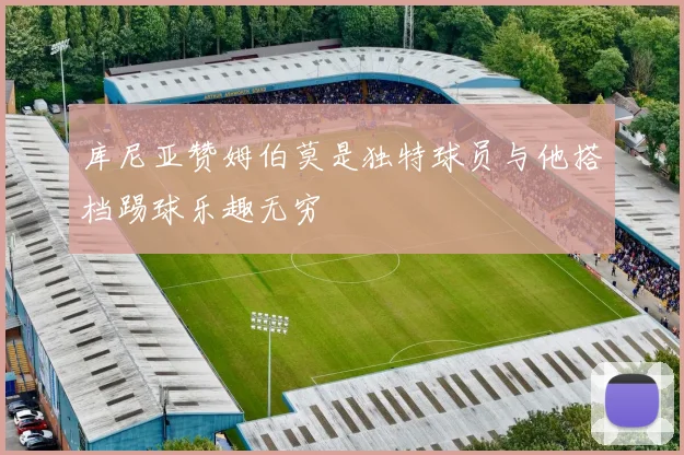库尼亚赞姆伯莫是独特球员与他搭档踢球乐趣无穷