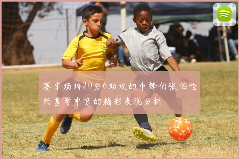 赛季场均20分6助攻的中锋们张伯伦约基奇申京的精彩表现分析