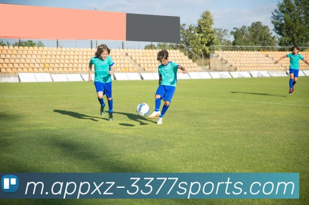 3377体育发展历程